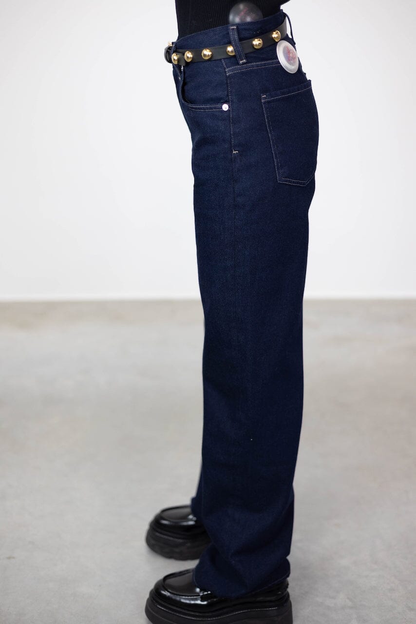 ANNINA TROUSERS INSPIRED JEANS IN HUDSON JEANS CITIZENS OF HUMANITY 