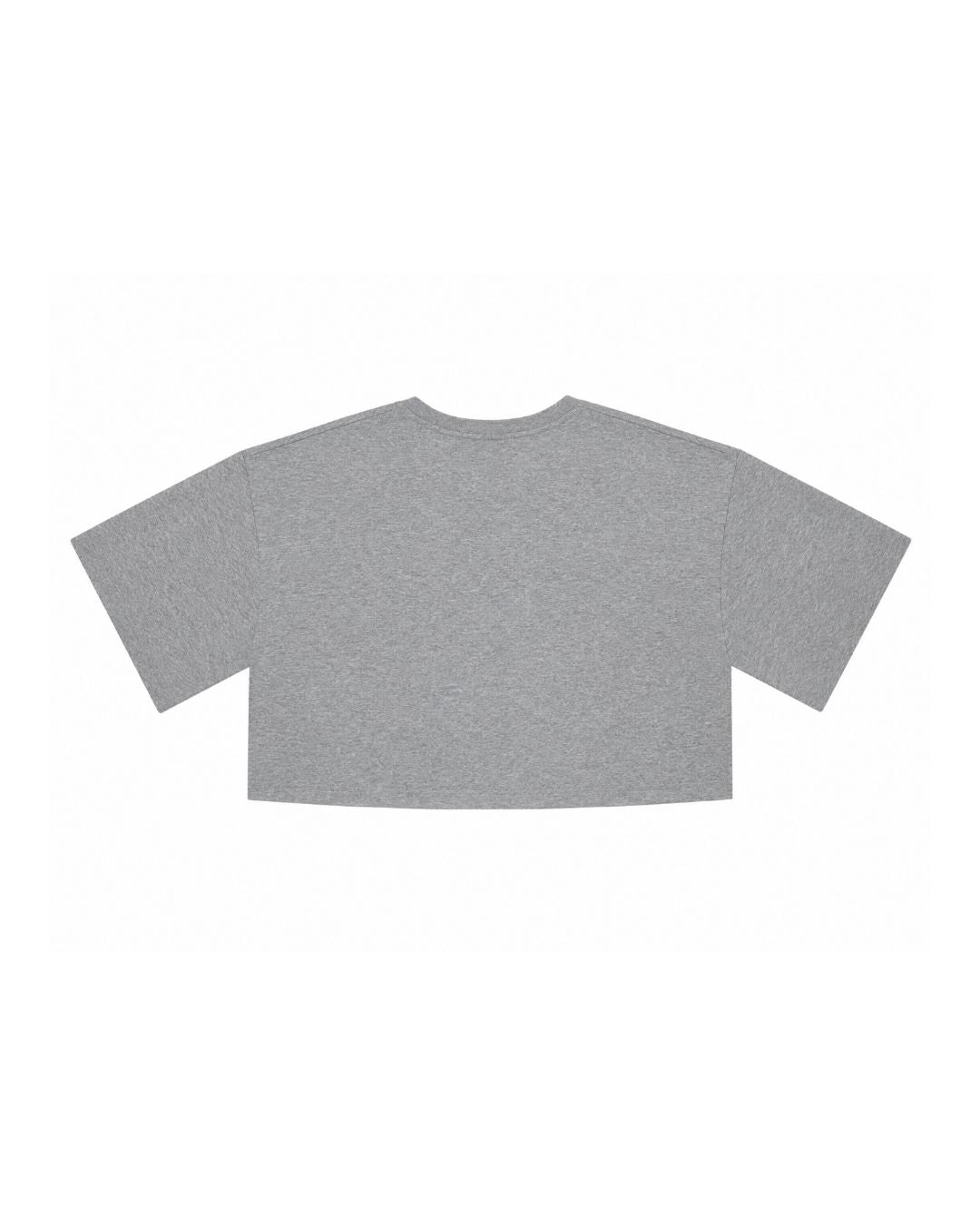 TOBIAS CROPPED TEE IN GREY TEE KURE 