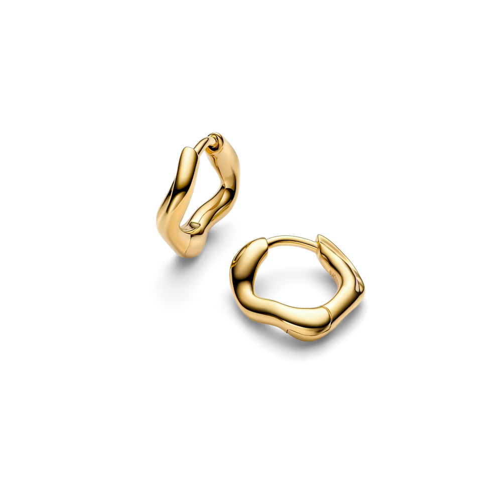 ANIL HOOP SMALL PAIR IN GOLD EARRINGS MARIA BLACK 