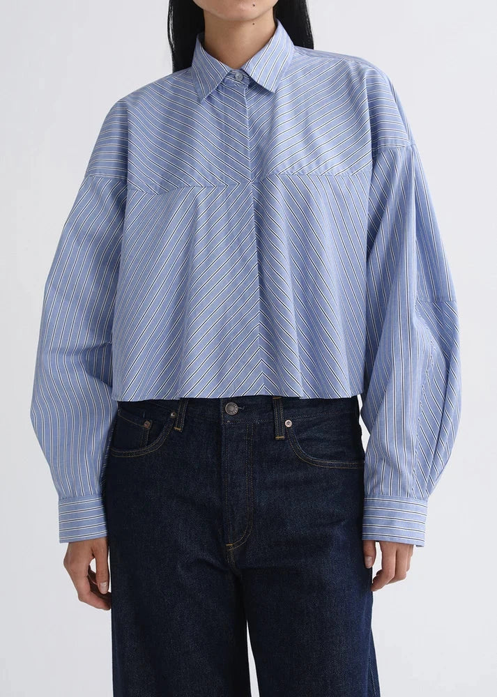 MEYER STRIPE SHIRT IN BLUE/WHITE SHIRT AGOLDE 