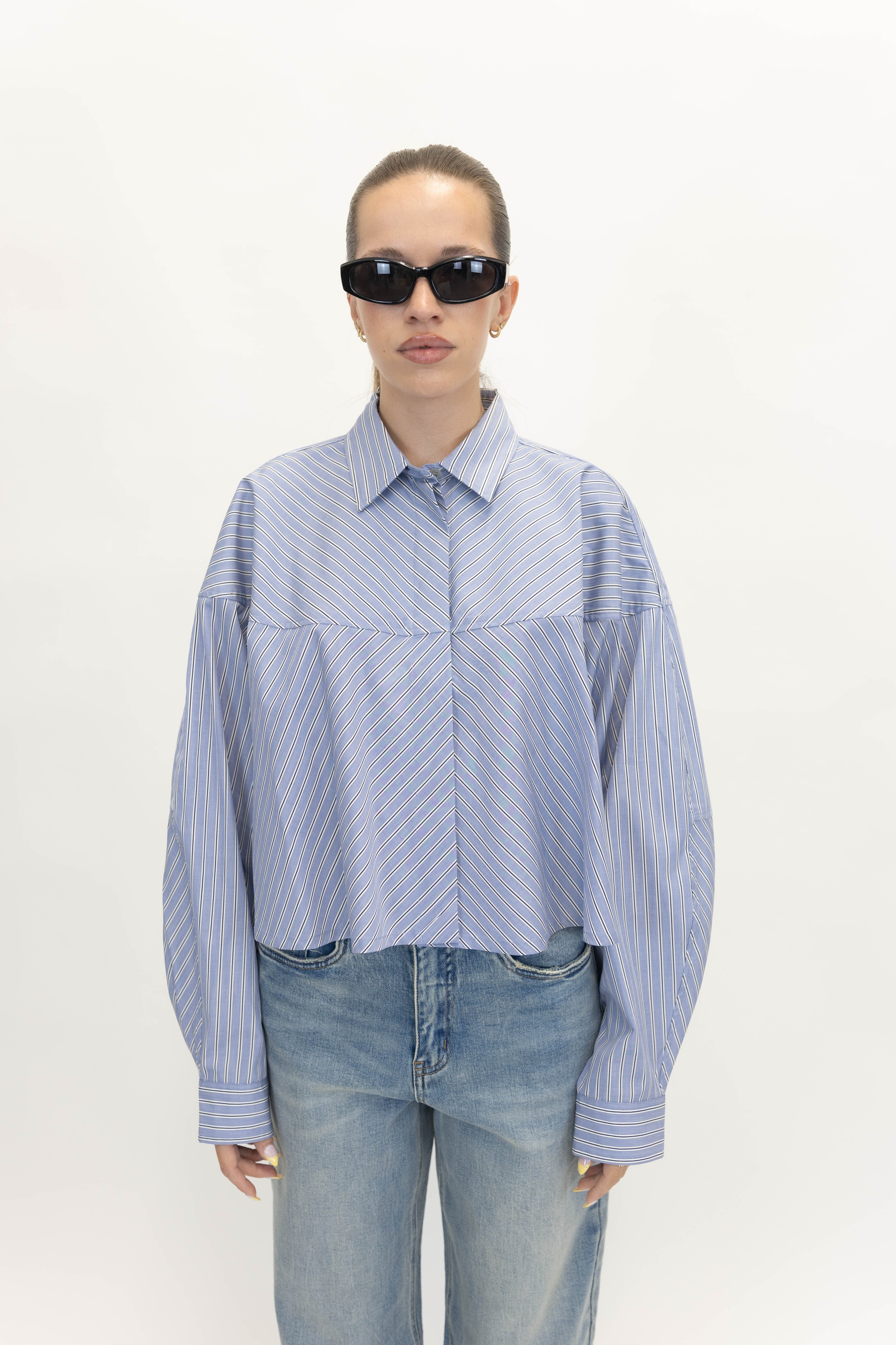 MEYER STRIPE SHIRT IN BLUE/WHITE SHIRT AGOLDE 