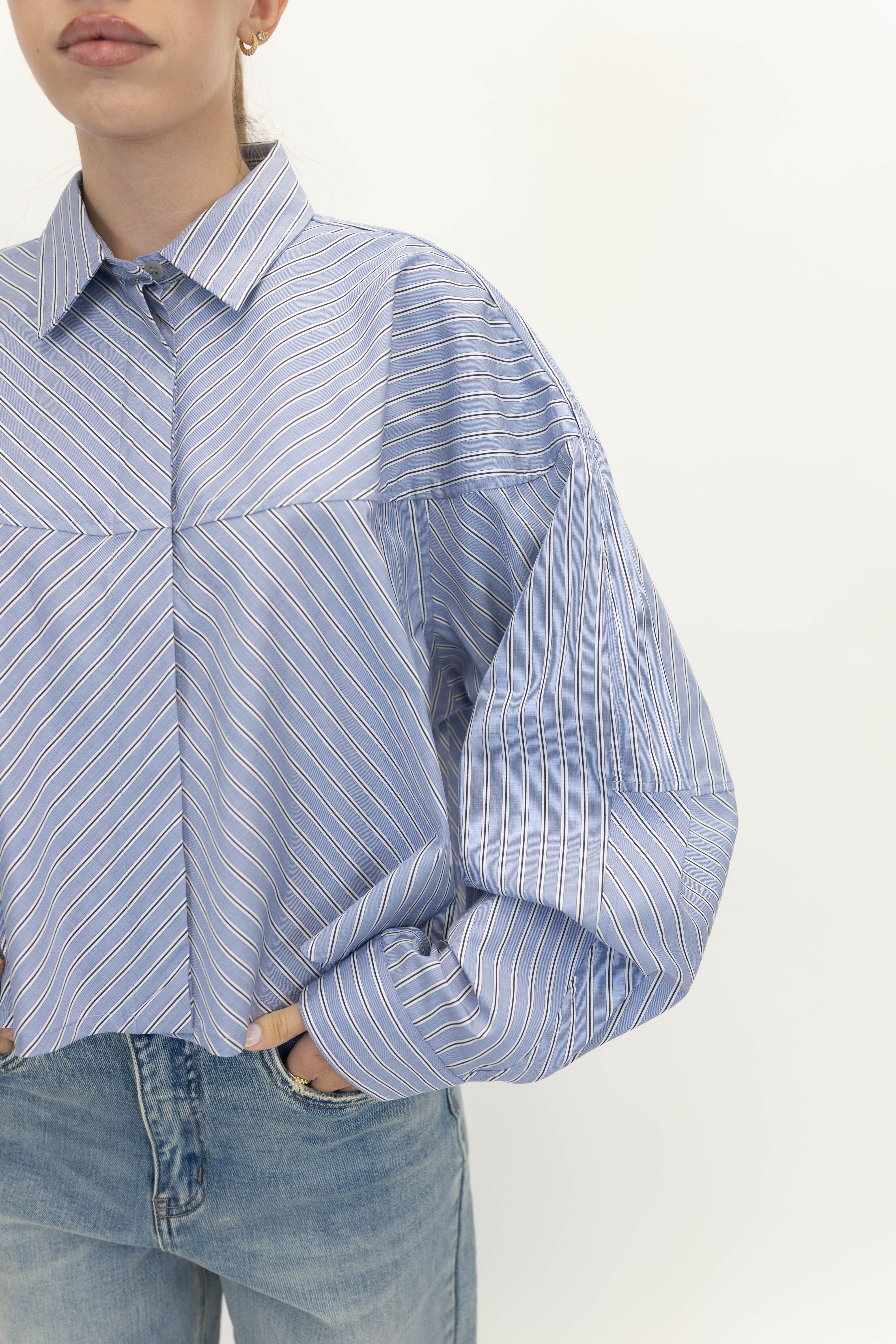 MEYER STRIPE SHIRT IN BLUE/WHITE SHIRT AGOLDE 